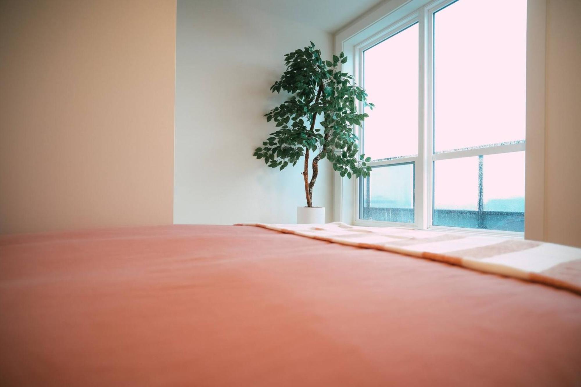 Appartement Chic Cozy Retreat - 2Br - Stunning North End Views à Halifax Extérieur photo